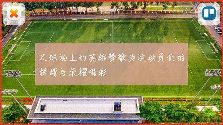 足球场上的英雄赞歌为运动员们的拼搏与荣耀喝彩