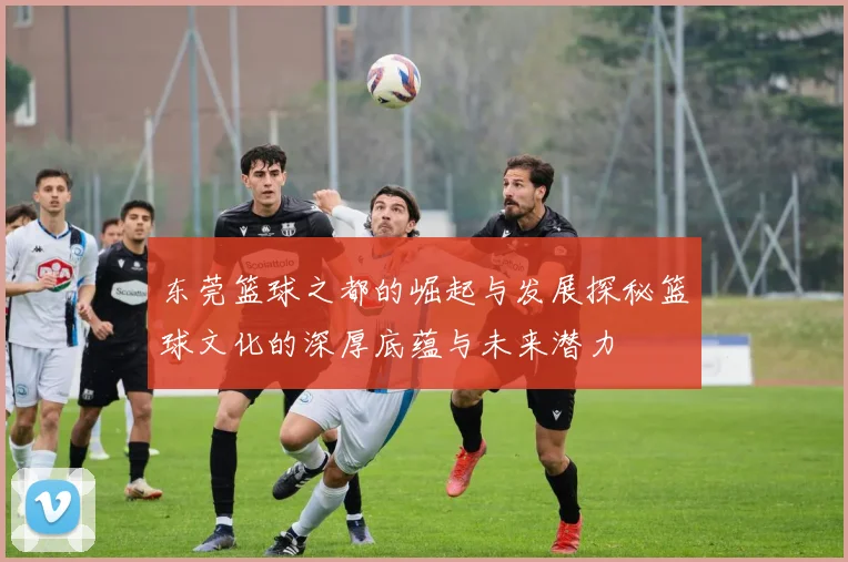 东莞篮球之都的崛起与发展探秘篮球文化的深厚底蕴与未来潜力