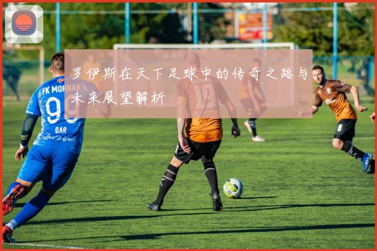 罗伊斯在天下足球中的传奇之路与未来展望解析