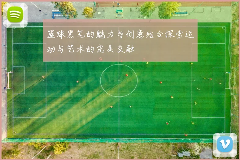 篮球黑笔的魅力与创意结合探索运动与艺术的完美交融