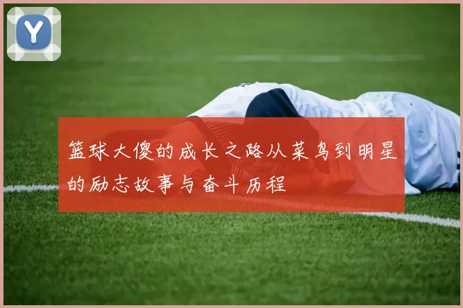 篮球大傻的成长之路从菜鸟到明星的励志故事与奋斗历程